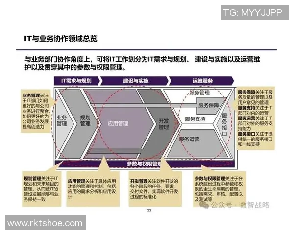 中国企业国际化进程中的机遇挑战与风险管理策略探讨